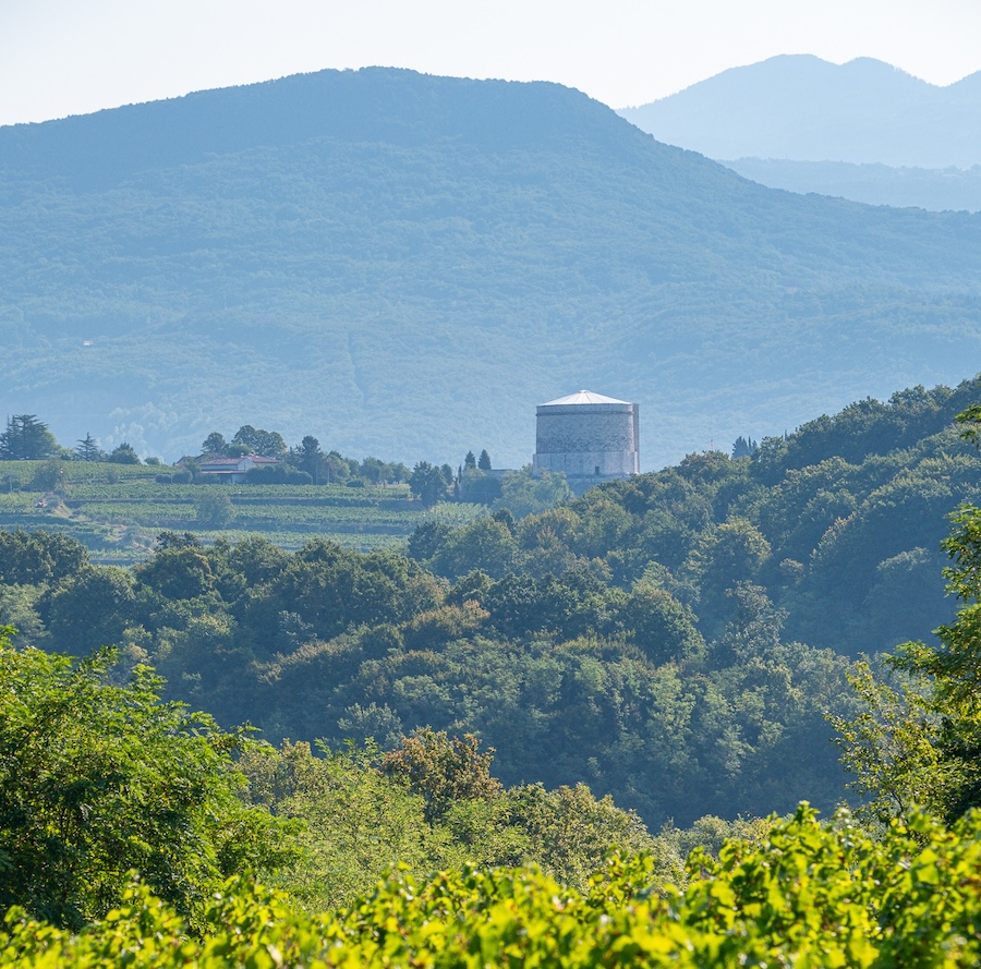 Collio Evolution2026_2_evidenza_pinot grigio