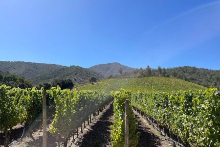 Cile, Valle Maipo_evidenza