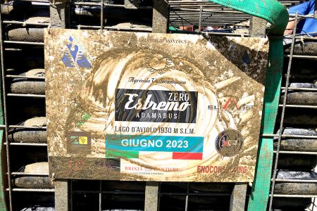 Estremo Adamadus_evidenza_vallecamonica_lagod'aviolo