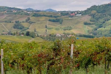 Oltrepò pavese classese_evidenza