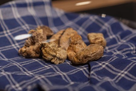 Tartufo Alciati_evidenza