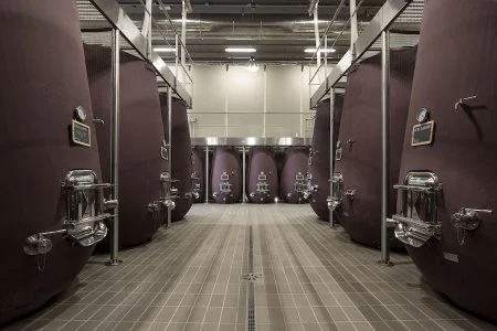 Viandante del cielo_evidenza:testo