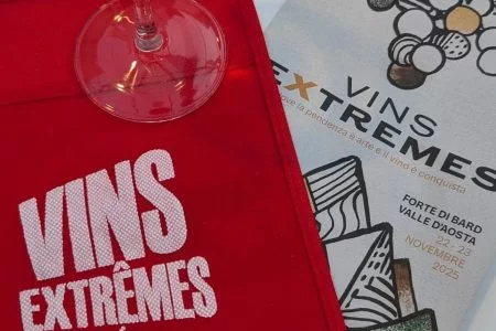 Vins Extrêmes 2025_evidenza (12)